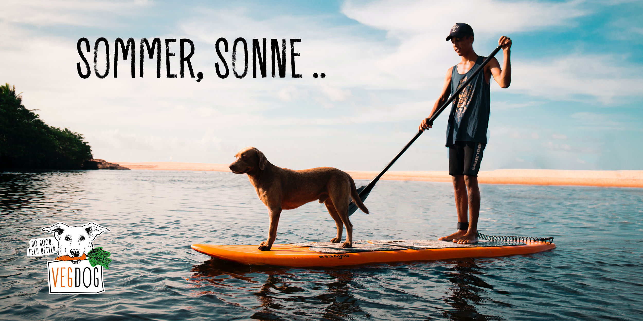 SOMMER, SONNE, HEIßE PFOTEN!