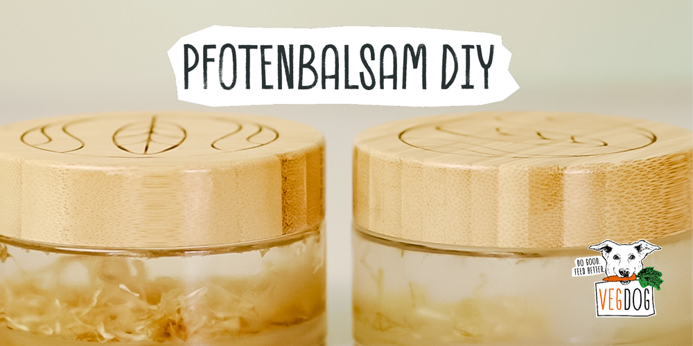 VEGDOG DIY: PFOTENBALSAM