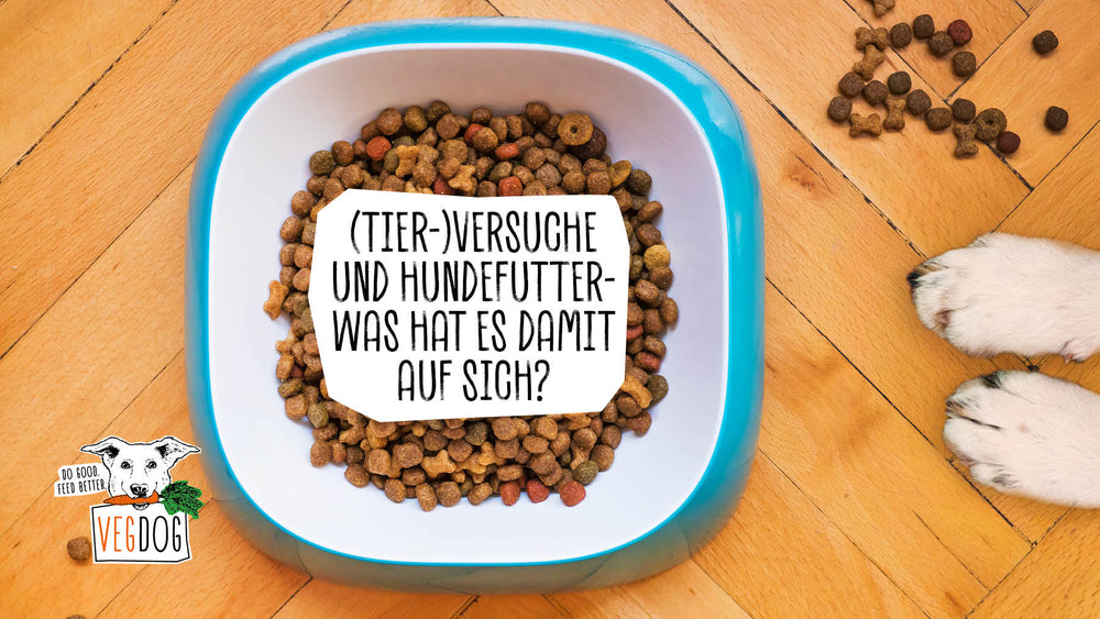 (TIER-)VERSUCHE UND HUNDEFUTTER - WAS HAT ES DAMIT AUF SICH?