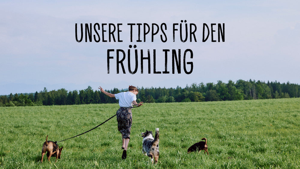 10 VEGDOG FRÜHLINGSTIPPS