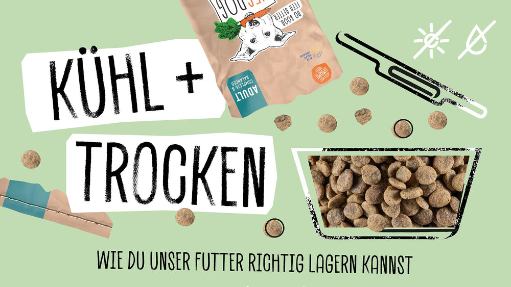 Kühl & trocken – Wie du unser Futter richtig lagern kannst