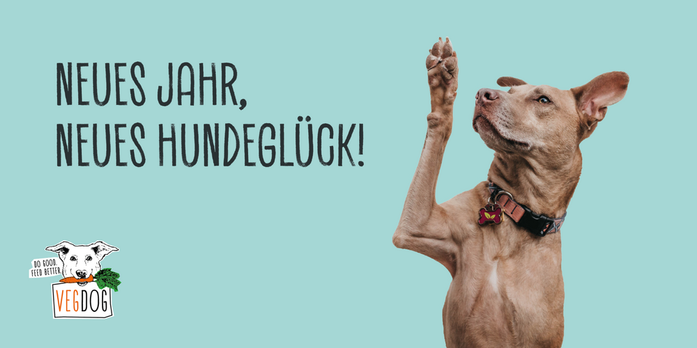 NEUES JAHR, NEUES HUNDEGLÜCK