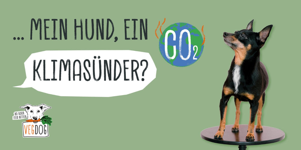 MEIN HUND, EIN KLIMASÜNDER?