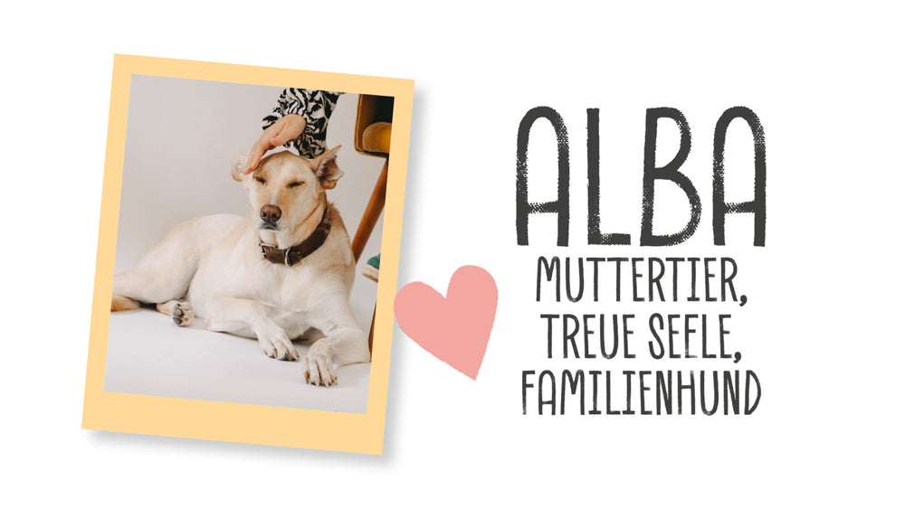 ALBA – MUTTERTIER, TREUE SEELE, FAMILIENHUND