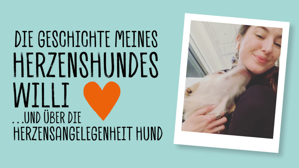 DIE GESCHICHTE MEINES HERZENHUNDES WILLI
… UND ÜBER DIE HERZENSANGELEGENHEIT “HUND”