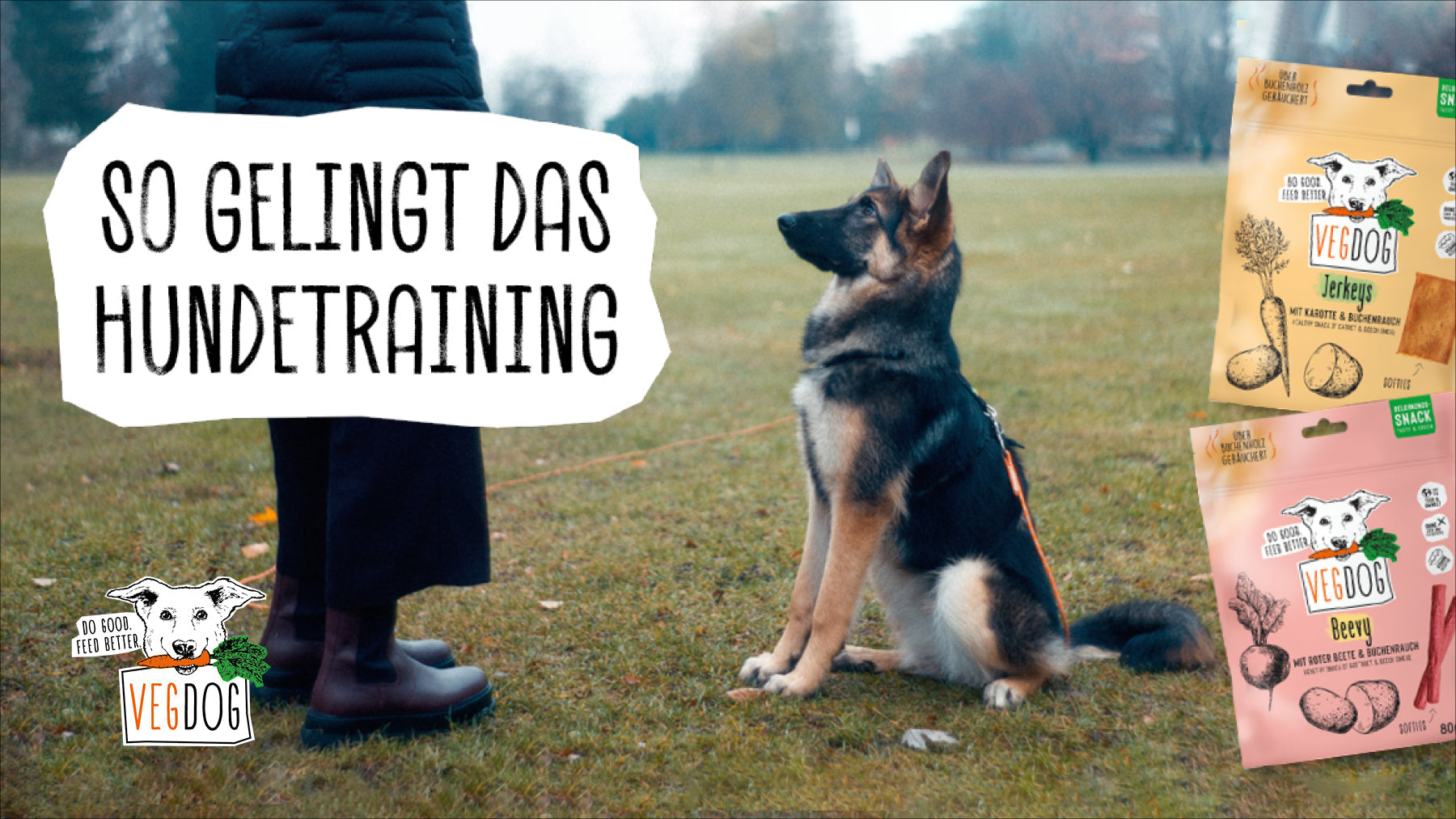 SO GELINGT DAS HUNDETRAINING