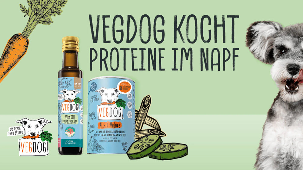 VEGDOG KOCHT: PROTEINE IM NAPF