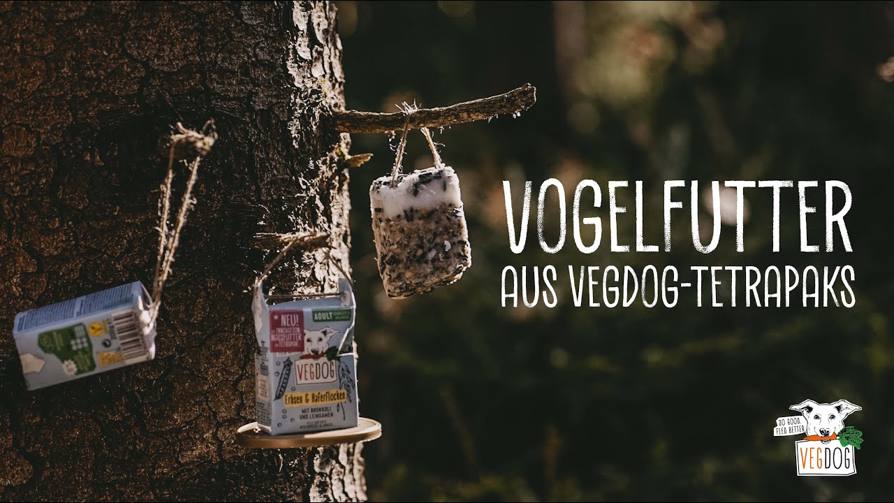 Video laden: 